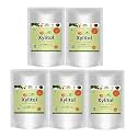 So Sweet Xylitol 250 gm 100% Natural Sweetener - Sugarfree (Pack of 05)