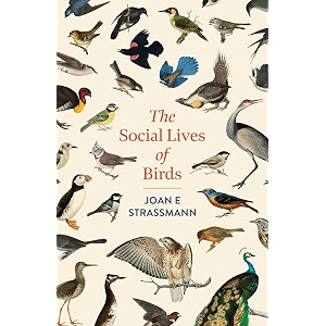 the social lives of birds a must-read for bird and nature lovers