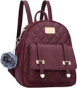 Socialite Backpack for women, bag for college girls, backpack for women office, stylish 20 L Backpack