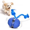 Sofolor Interactive Dog Toys to Keep Them Busy, Active Rolling Ball for Dog