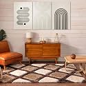 Soft Plain Shaggy Rugs and Carpet for