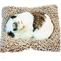 Soft Toys - white&Brown 18 x 14 cm, Car Accessories for Dashboard, Car Air Purifier,Cat Toys, Cat Soft Toy, Activated Charcoal