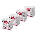 Softouch Garden Bouquet 2L Fabric Conditioner with Antibacterial Protection &amp; Long-Lasting Fragrance &amp; Softouch Tissue Paper Napkins 100 pcs, Set of 4