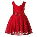 SOFYANA baby-girls Girls Dresses