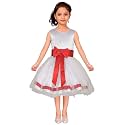 SOFYANA Girl39s Satin A-Line Knee-Length Dress