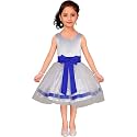 SOFYANA Girl39s Satin A-Line Knee-Length Dress