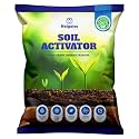 Soil Activator for Plants Organic Manure