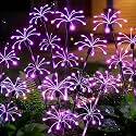Solar Garden Lights Outdoor, 4 Pack 2-Layer Purple Solar Firework Lights