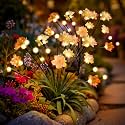 Solar Lights Outdoor Garden Waterproof, Upgraded 40LEDs Outdoor Solar Swaying Flowers Lights, Firefly Garden Light for Pathway, Yard, Patio Decoration (4 Pack,Warm White)