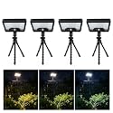 Octopus Solar Motion Lights Outdoor, 600LM, 4 Pack, Black