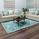 Solid Fluffy Rugs and Carpet for Hall
