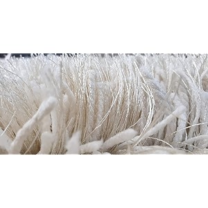 Solid Plain Carpet 5x8 Feet Ivory Microfiber