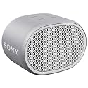 Sony SRS-XB01 Wireless Bluetooth Portable Party Speaker (Gray)