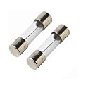 BrandGled 250V Size 5X20 Fast Blow Glass Fuse Pack of (2 Amp, 2)