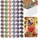 Sosation 60 Pack Dog Toys Bulk, 2 Inch Small Squeaky Tennis Balls