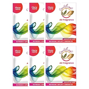 soulfresh air pocket air freshener- bathroom and toilet fragrance lasts up to 30 days - assorted pack of 4 citrus lavender floral mogra multicolor