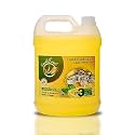 Soulfresh Dish Wash Gel, remove tough stains, grease cleaner, bartan utensil cleaner, leaves no residue 5Ltr