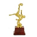 Sovereign Creations Trophy Reverse Kick Football Player (7 INCH)