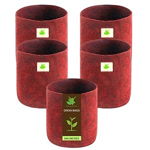 sow and grow 400 gsm eco friendly geo fabric plant grow bag suitable for terrace and flowers vegetable gardening 6x6 inch pack of 5