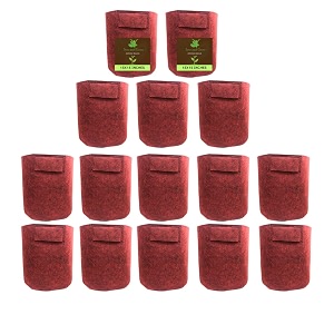 sow and grow 400 gsm eco friendly geo fabric plant grow bag suitable for terrace and flowers vegetable gardening 15x15 inch pack of 15