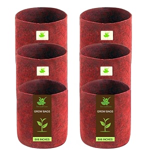 sow and grow 400 gsm eco friendly geo fabric plant grow bag suitable for terrace and flowers vegetable gardening 6x6 inch pack of 6