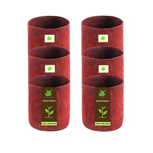 sow and grow 400 gsm eco friendly geo fabric plant grow bag suitable for terrace and flowers vegetable gardening 8x8 inch pack of 6