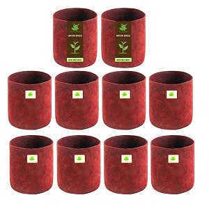 sow and grow 400 gsm eco friendly geo fabric plant grow bag suitable for terrace and flowers vegetable gardening 6x6 inch pack of 10