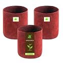 Sow and Grow 400 GSM Eco Friendly Geo Fabric Plant Grow Bag Suitable for Terrace and Flowers Vegetable Gardening 9X9 inch Pack of 3