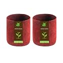 Sow and Grow 400 GSM Eco Friendly Geo Fabric Plant Grow Bag Suitable for Terrace and Flowers Vegetable Gardening 9X9 inch Pack of 2