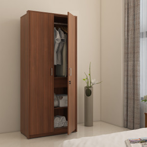 spacewood value engineered wood 2 door wardrobe