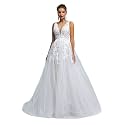 Spaghetti Chiffon Beach Wedding Dress V Neck A line Bridal Gowns Lace Plus Size Wedding Dress