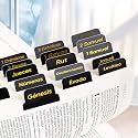 Spainish Bible Tabs, 66 Bible Tabs, Easy to Read Large Font