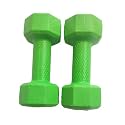 SPANCO PVC (Round Shape) Fragrance Dumbbells (2 Kg. X 2 = 4 Kg) Pack of 2 for Home Gym Equipment |Gym Exercise|Home Workout | Fitness Kit|Dumbbells Weights for Whole Body (Color : Parrot Green)