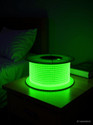 spark world 1200 LEDs 10 m Green Steady Strip Rice Lights