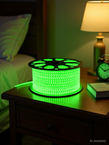 spark world 1200 leds 5 m green steady strip rice lights