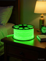 spark world 1200 LEDs 5 m Green Steady Strip Rice Lights
