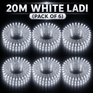 spark world 74 leds 20 m white steady bulb rice lights