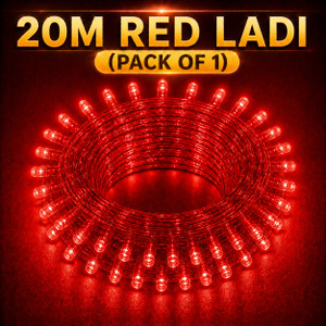 spark world 74 leds 20 m red steady bulb rice lights