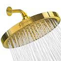 SparkPod Rain Shower Head, 8 Inch Round, Egyptian Gold Finish