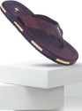 Sparx Men Flip Flops Brown Brown 9