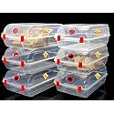 SPC Multipurpose Stackable Shoes, Sandals, Heels, Sneakers Rectangular Footwear Storage Organiser Container with Lid (Clear, Large) - Pack of 6, plastic