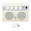 RiToEasysports Speaker, 10W BT Bass Speaker Portable Rechargeable Amp Dual Channel Compact Bass Amplifier with 2000mAh Battery