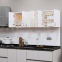 SPECIALITY PANELS Space-Saving 6 Doors Organizer with 6 Shelves,Free installation by Brand Engineered Wood Kitchen Cabinet