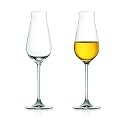 Specialty Sparkling Wine & Tequila Tasting Glasses, Set of 2, 8 fl. oz