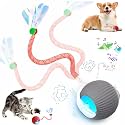 Speed 2.0 Tail Interactive Cat Toys for Indoor Cats, Moving Cat Toy
