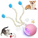 Speed 2.0 Tail Interactive Cat Toys for Indoor Cats, Moving Cat Toy