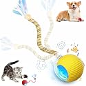 Speed 2.0 Tail Interactive Cat Toys for Indoor Cats, Moving Cat Toy