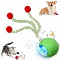 Speed 2.0 Tail Interactive Cat Toys for Indoor Cats, Moving Cat Toy