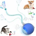 Speed 2.0 Tail Interactive Cat Toys for Indoor Cats, Moving Cat Toy