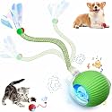 Speed 2.0 Tail Interactive Cat Toys for Indoor Cats, Moving Cat Toy